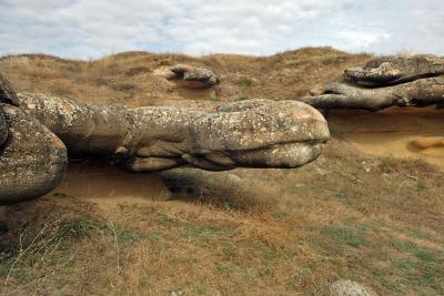 Прикрепленное изображение: PA232594_web.jpg